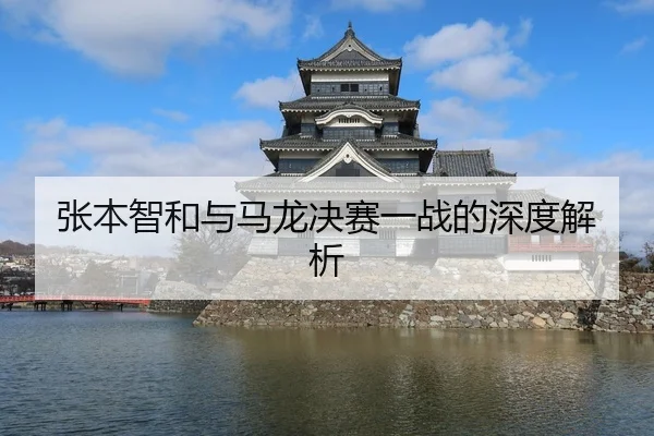 张本智和与马龙决赛一战的深度解析