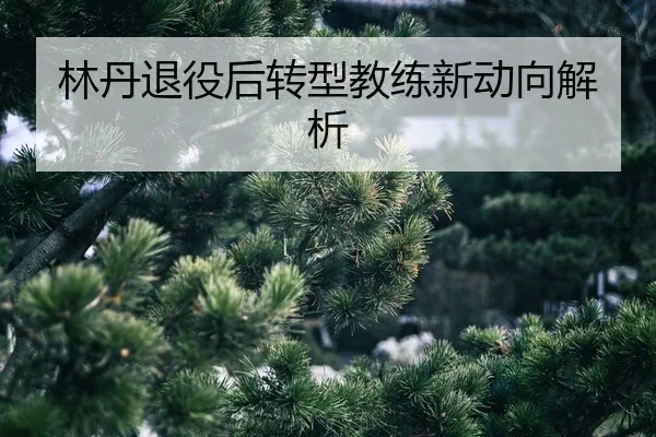 lin-dan-tui-yi-hou-zhuan-xing-jiao-lian-xin-dong-xiang-jie-xi-2-750.jpg
